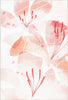 Weicher Rosa Aquarell-Blumen-Akzentteppich 